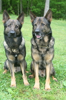 Ayro and his dad Ace of Nike