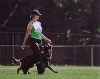 Ayro and Sigrid at the 2011 GSDCA-WDA National Championships